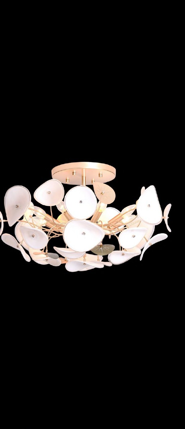 Champagne Gold With Ceiling Light