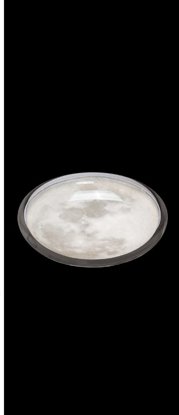 Ash Grey With Ceiling Light
