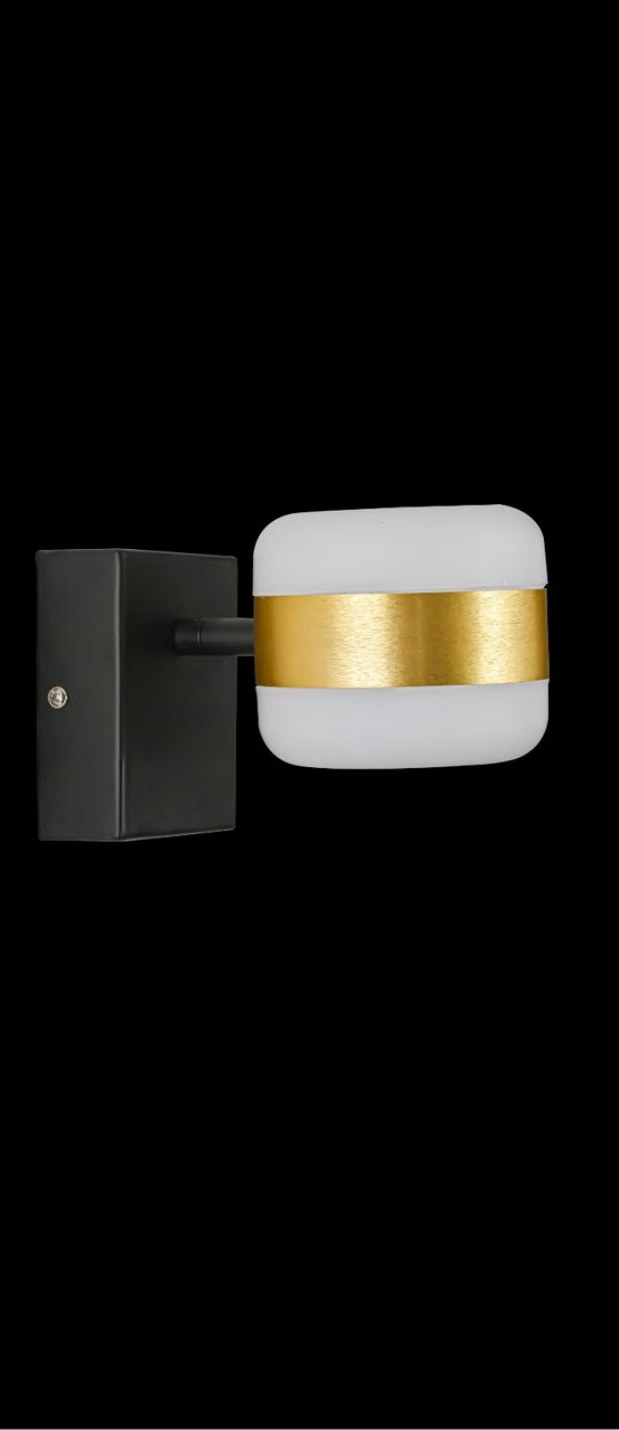 Matt Black Brushed Wall Light