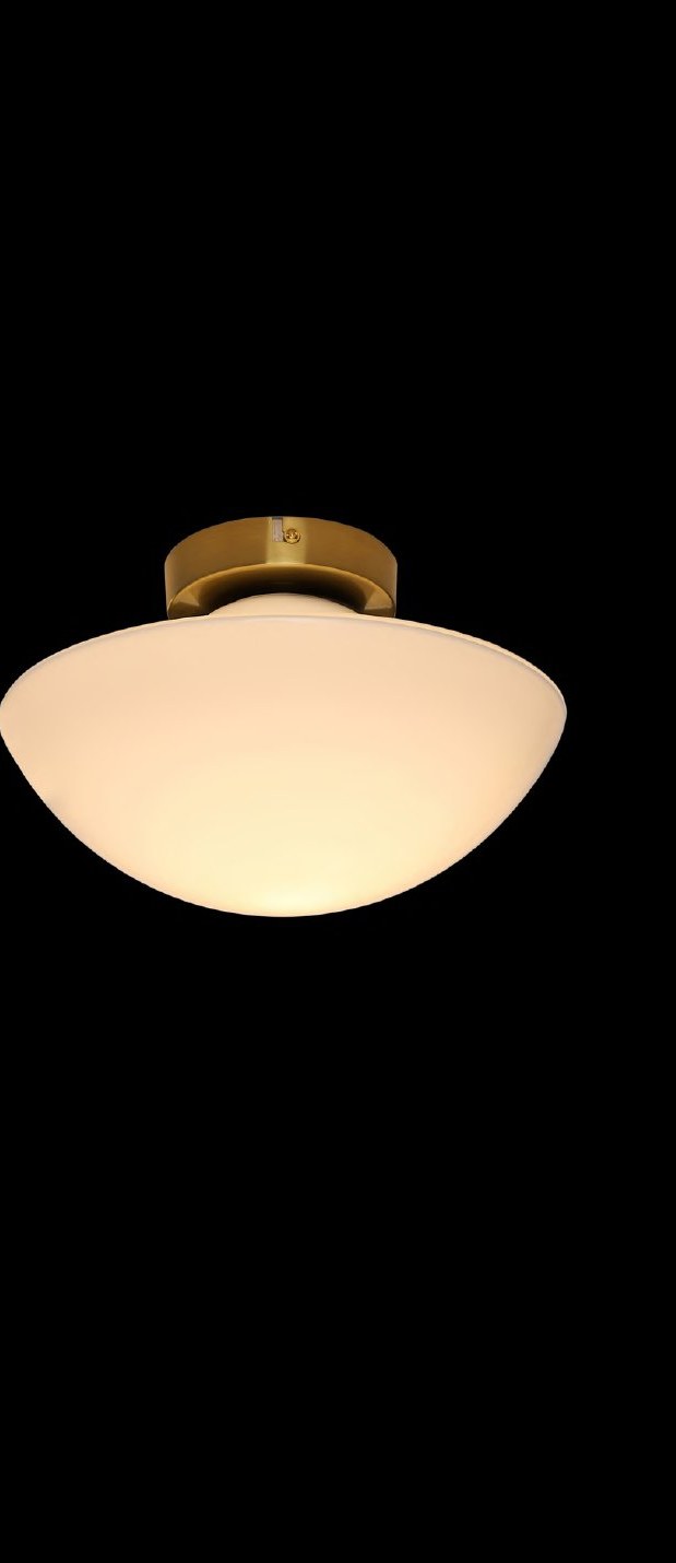 Antique Brass With Ceiling Light