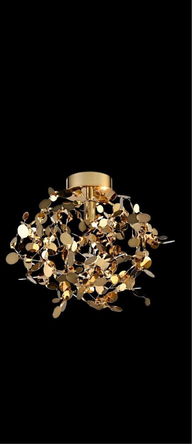 Ss Titanium Gold Ceiling Light