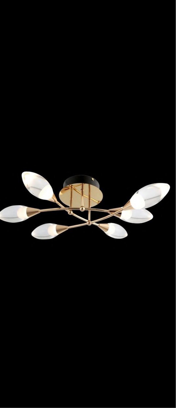 French Gold With Ceiling Light